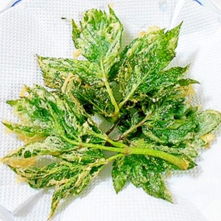 明日葉の天ぷら レシピ 作り方 By V るん 0394 楽天レシピ